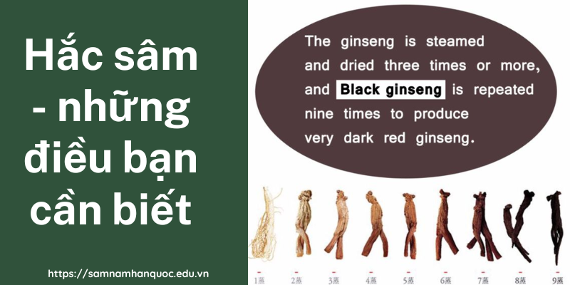 Hắc sâm - những điều bạn cần biết